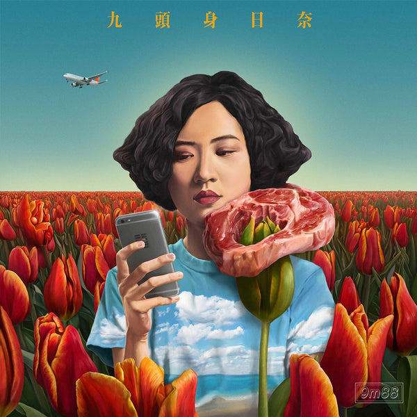 Nine Head Hinano 九頭身日奈2017海報